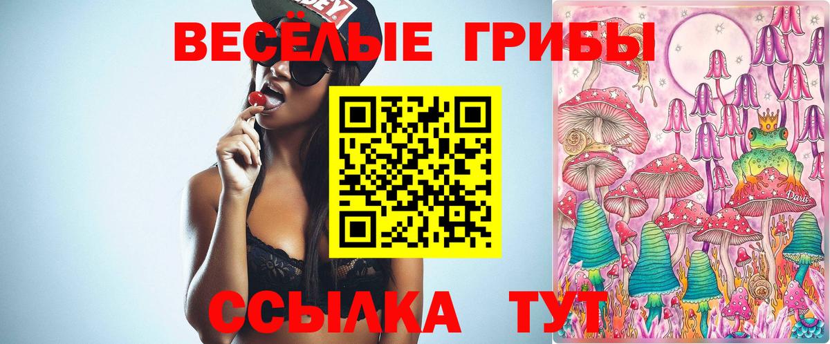 Псилоцибиновые грибы Psilocybe  Вход с VPN  Псилоцибиновые грибы прущие грибы  Видное 